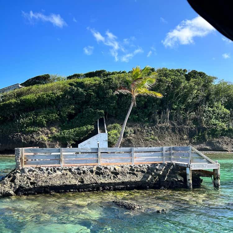 Ponton et palmier sur un îlet de la baie du François